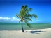 Island Run